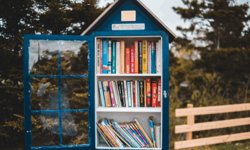 Little Free Library: le casette dei libri nel tuo quartiere